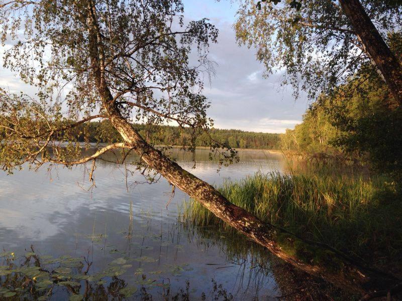 Asvejos Slenis Guest House Suzionys Bagian luar foto